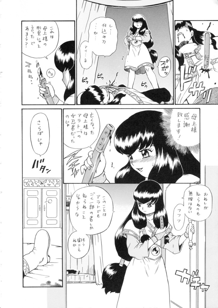 Princess Harem