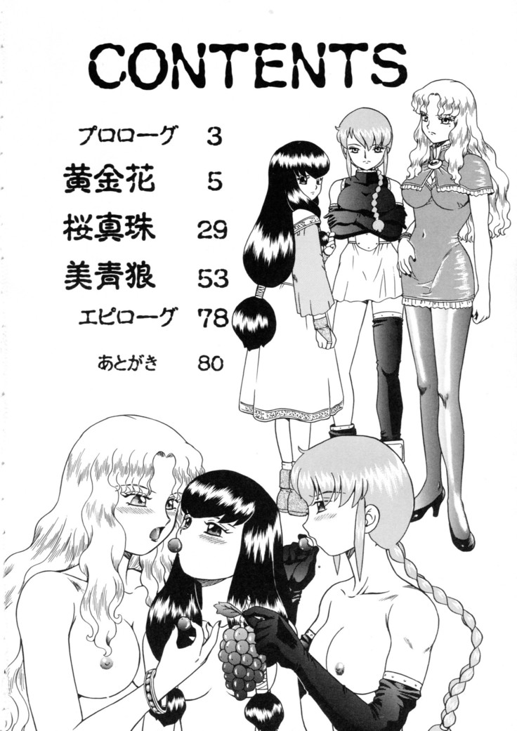 Princess Harem