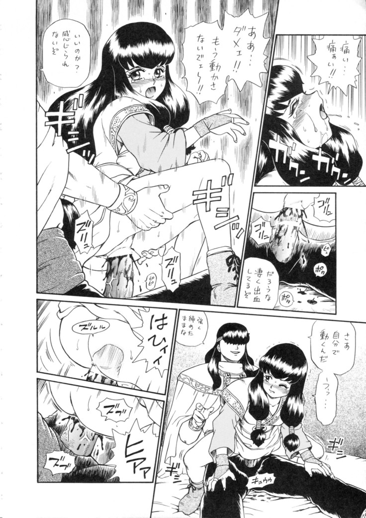 Princess Harem