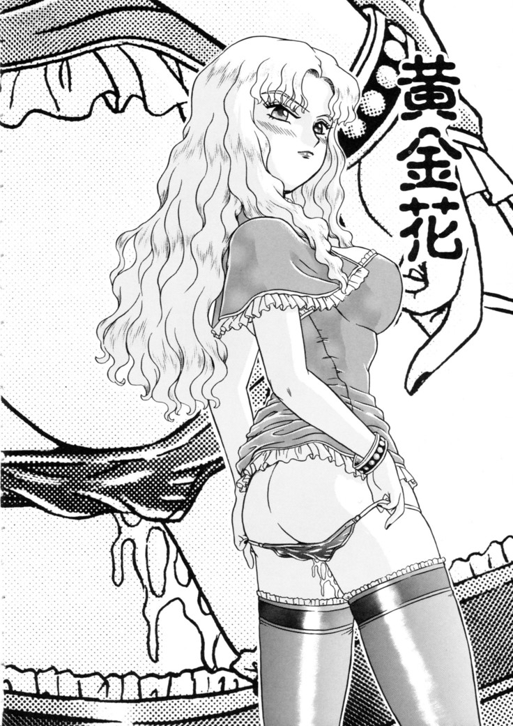 Princess Harem