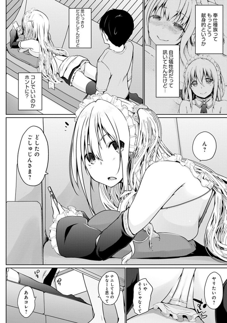 Houshi Shuzoku ga Yattekita!