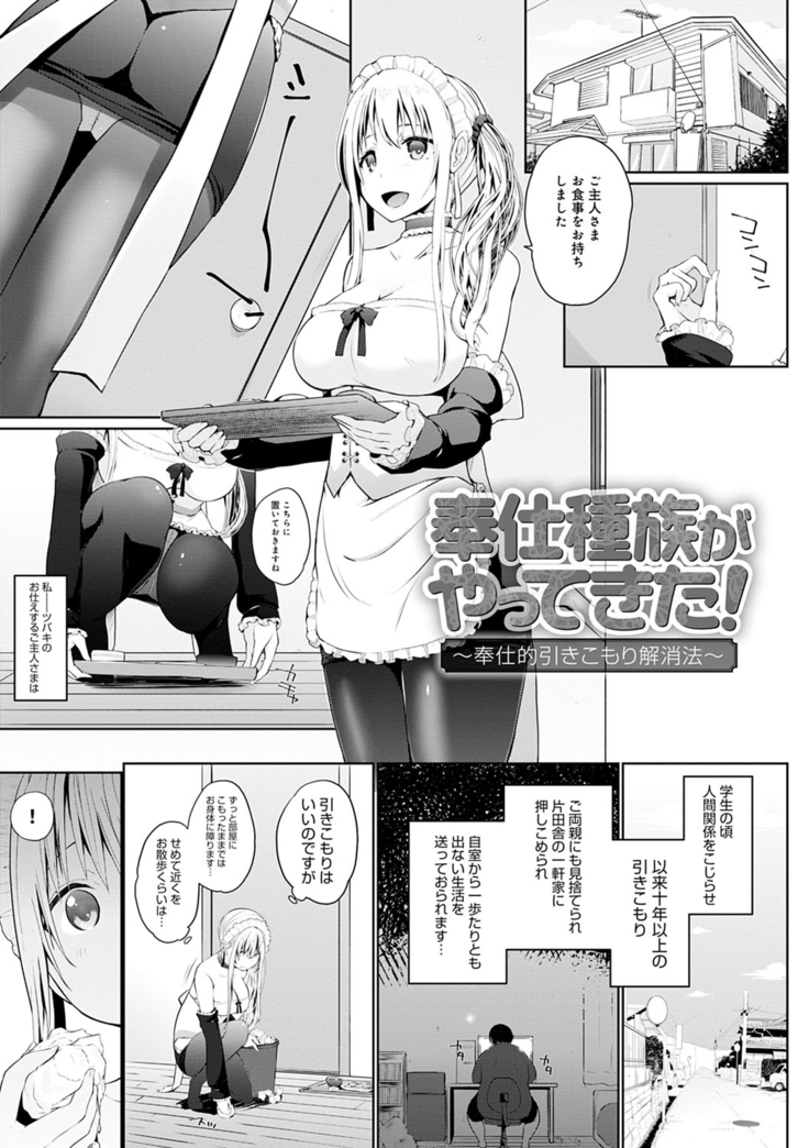 Houshi Shuzoku ga Yattekita!