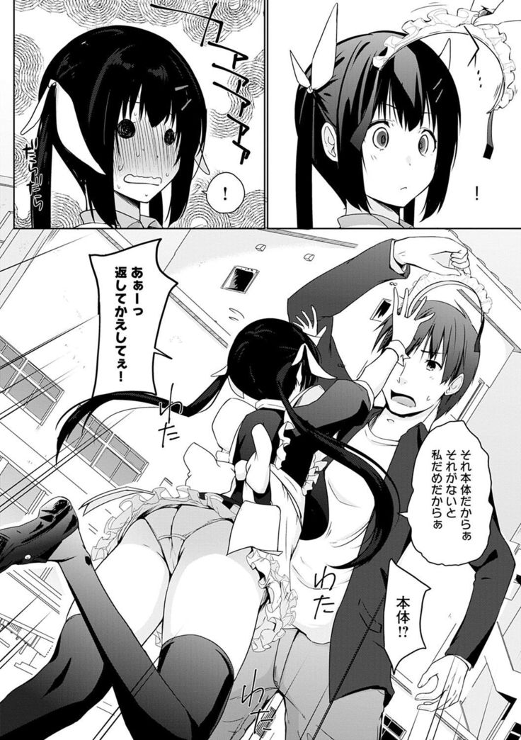 Houshi Shuzoku ga Yattekita!
