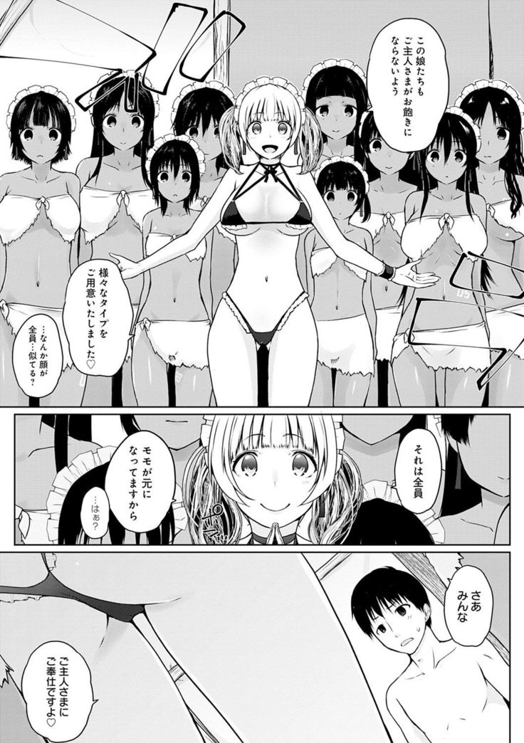Houshi Shuzoku ga Yattekita!