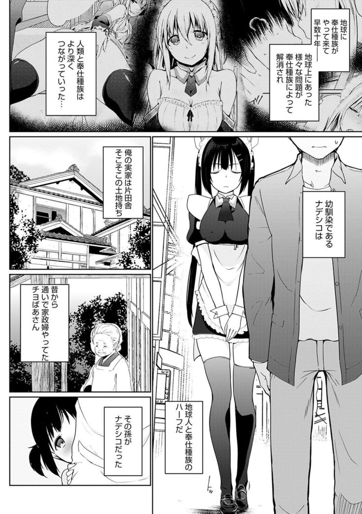 Houshi Shuzoku ga Yattekita!
