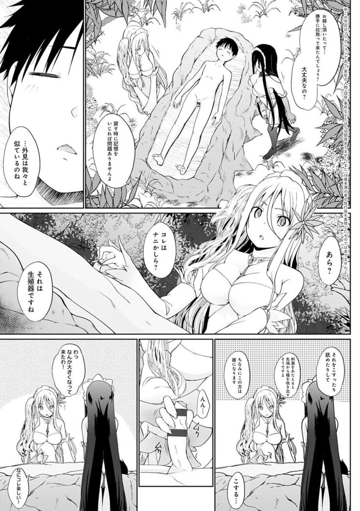 Houshi Shuzoku ga Yattekita!