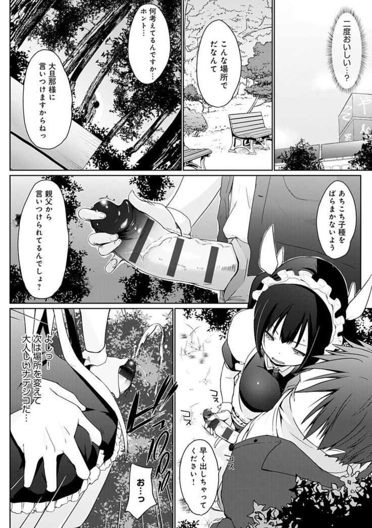 Houshi Shuzoku ga Yattekita!
