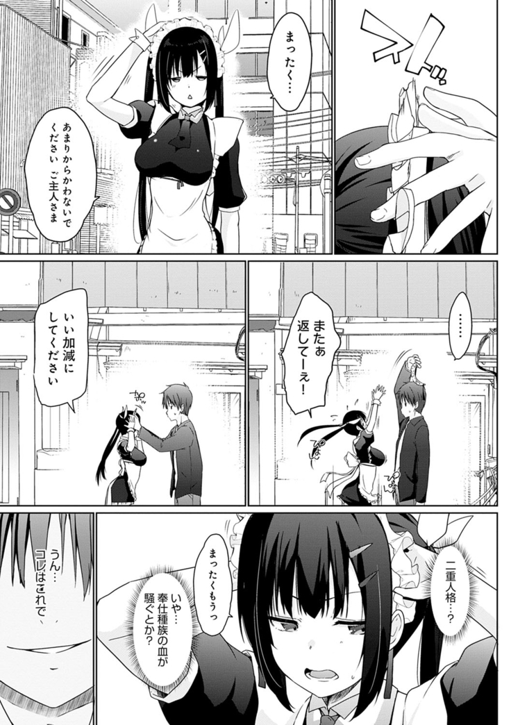 Houshi Shuzoku ga Yattekita!