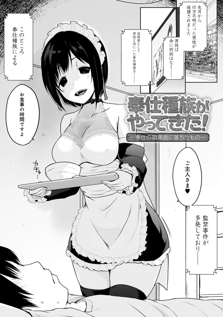 Houshi Shuzoku ga Yattekita!