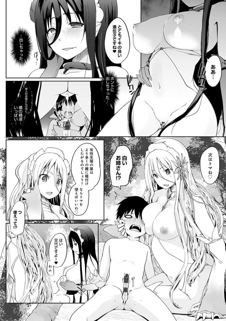 Houshi Shuzoku ga Yattekita!