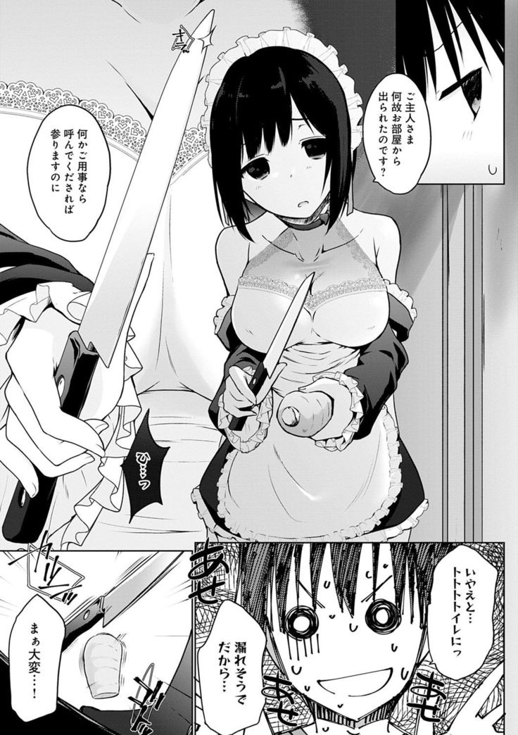 Houshi Shuzoku ga Yattekita!