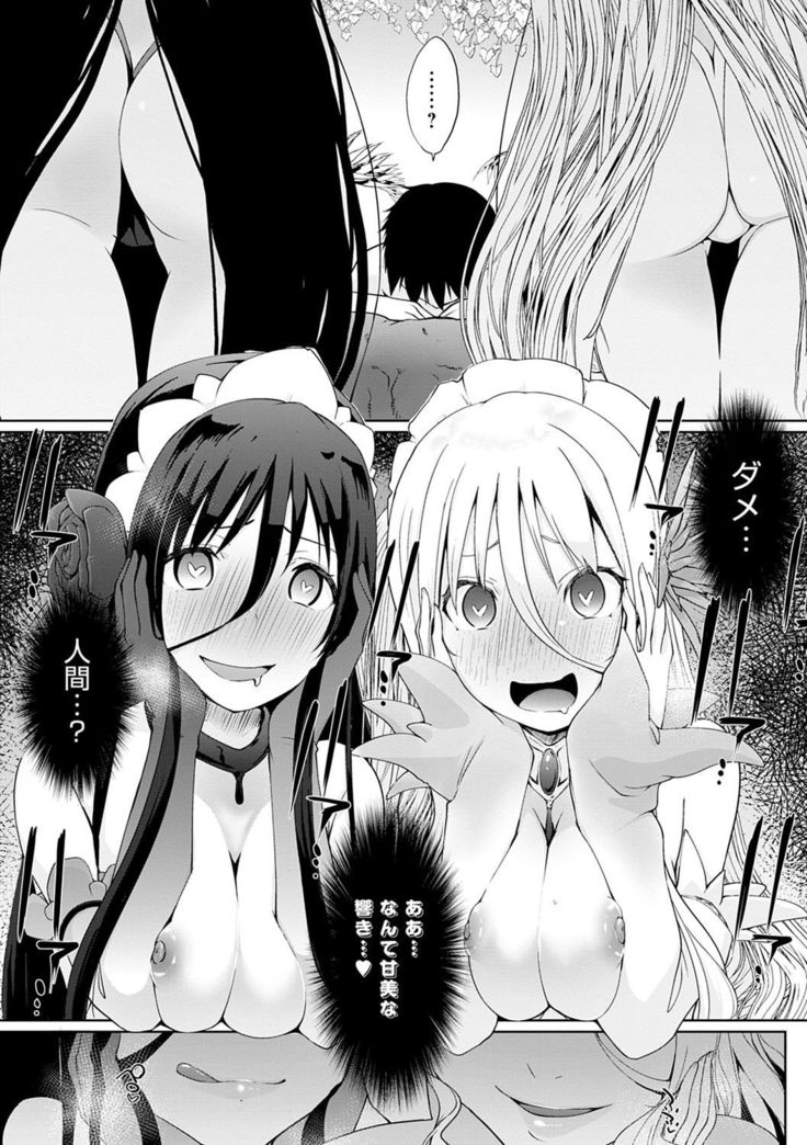 Houshi Shuzoku ga Yattekita!
