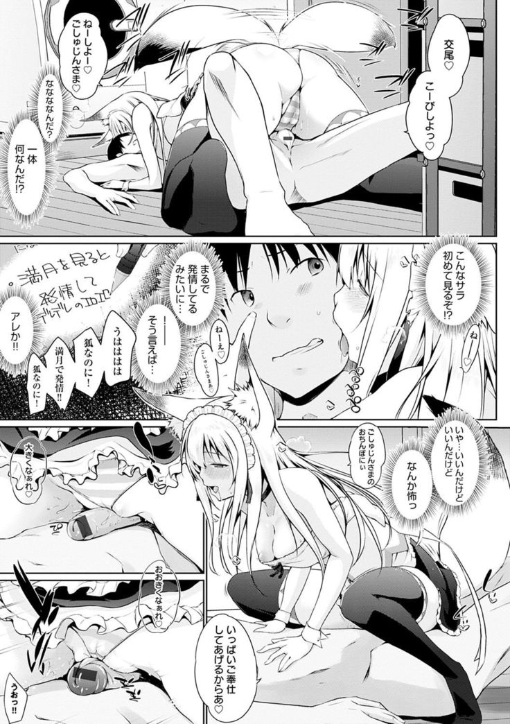 Houshi Shuzoku ga Yattekita!