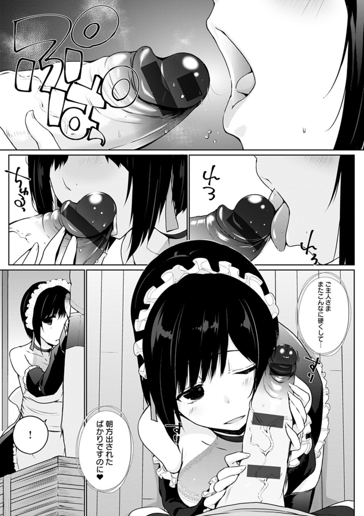 Houshi Shuzoku ga Yattekita!