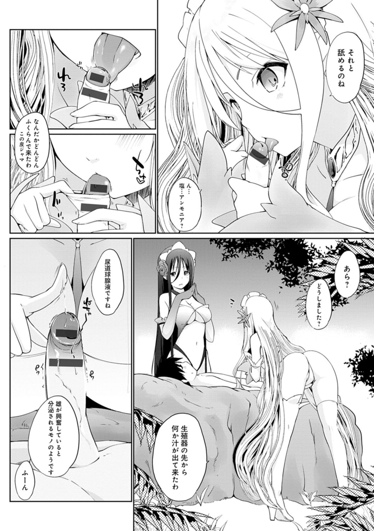 Houshi Shuzoku ga Yattekita!