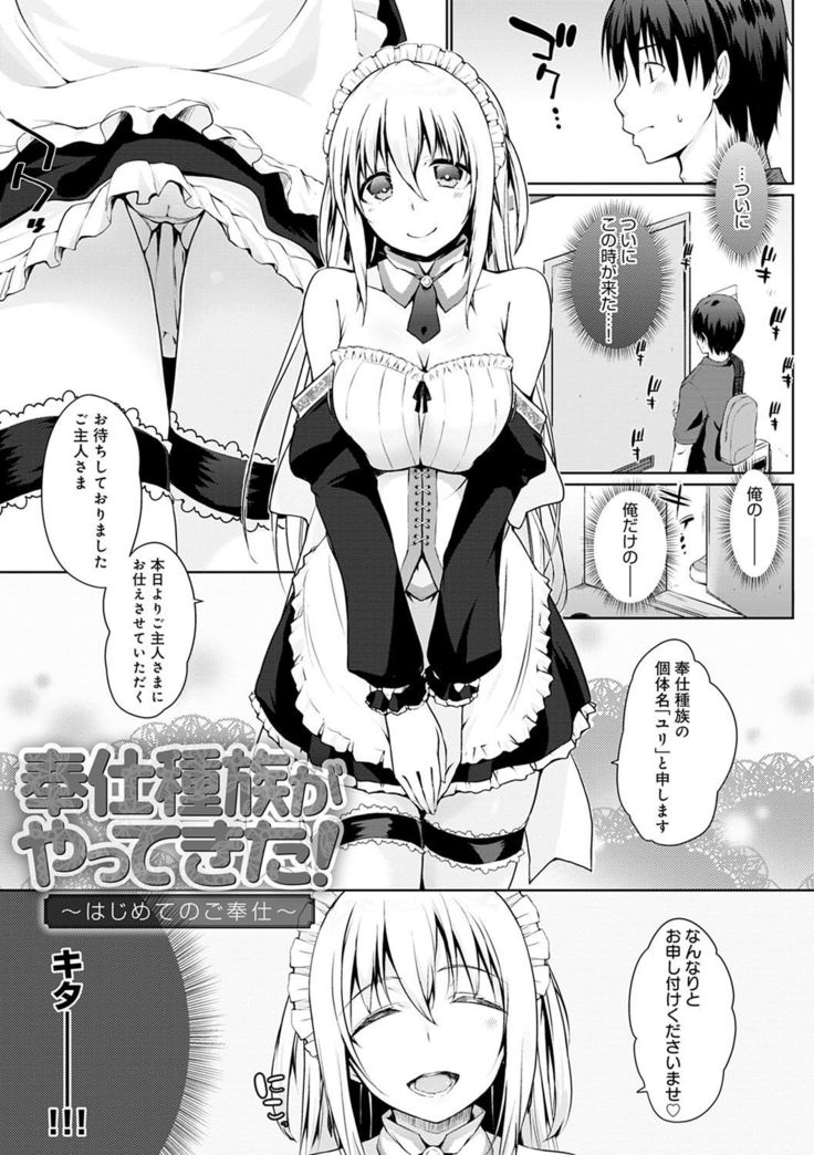Houshi Shuzoku ga Yattekita!