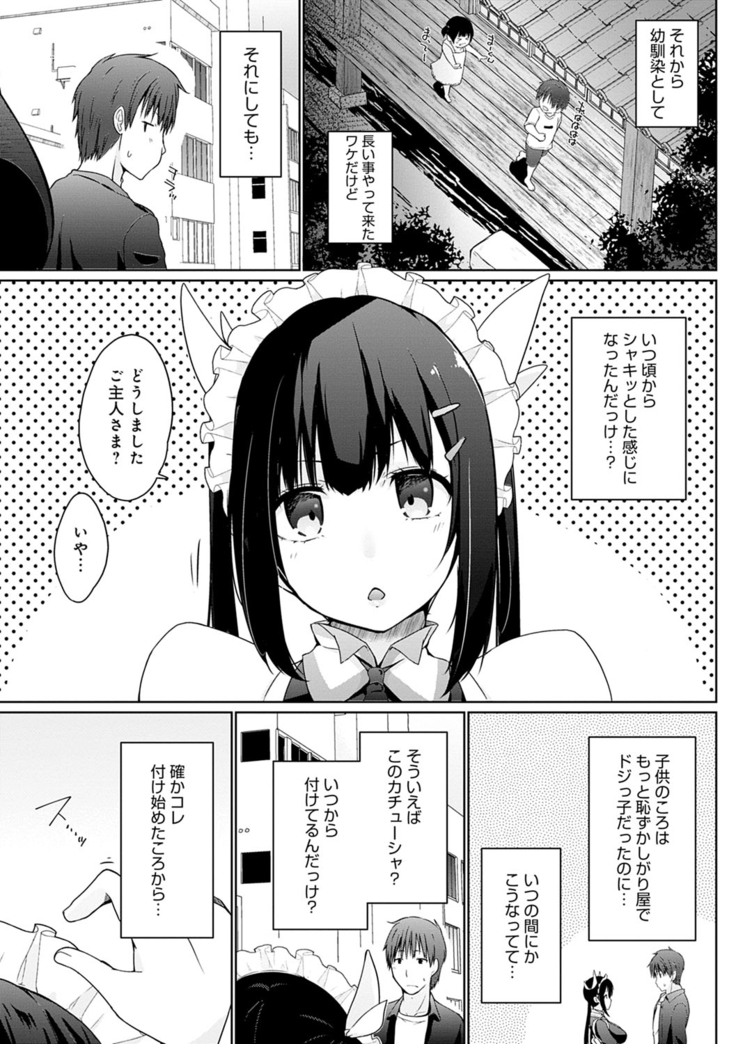 Houshi Shuzoku ga Yattekita!