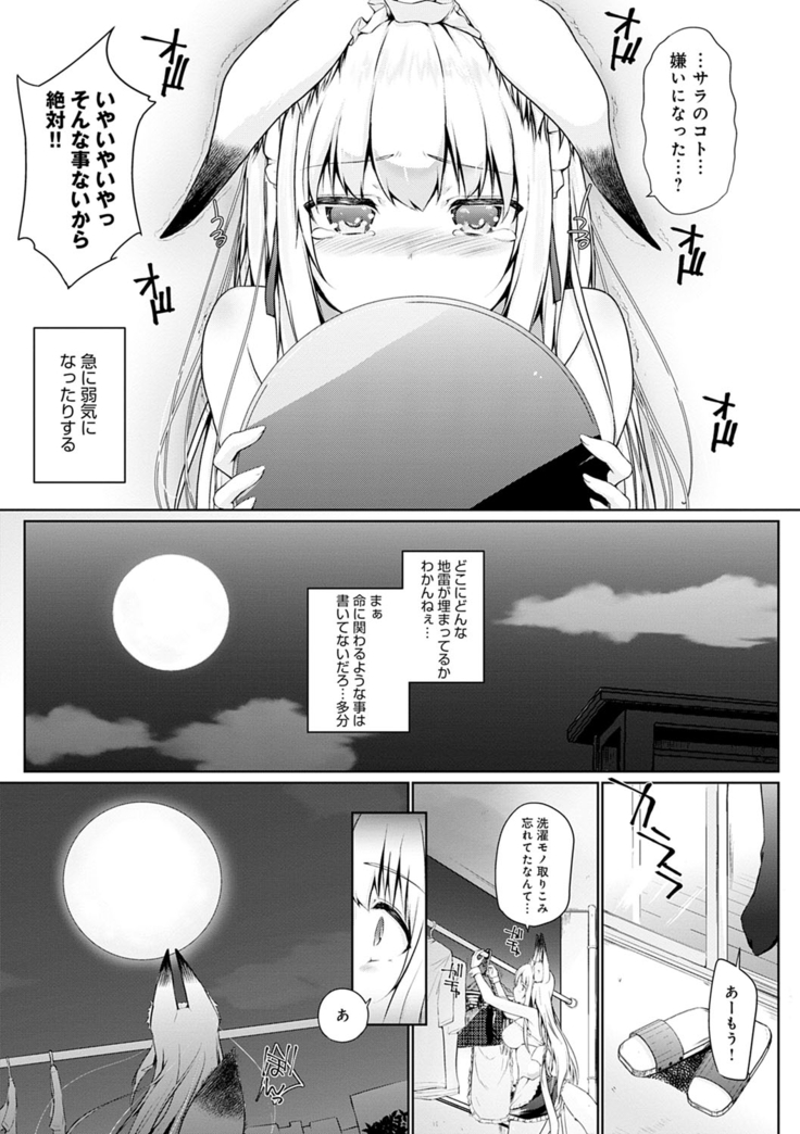 Houshi Shuzoku ga Yattekita!