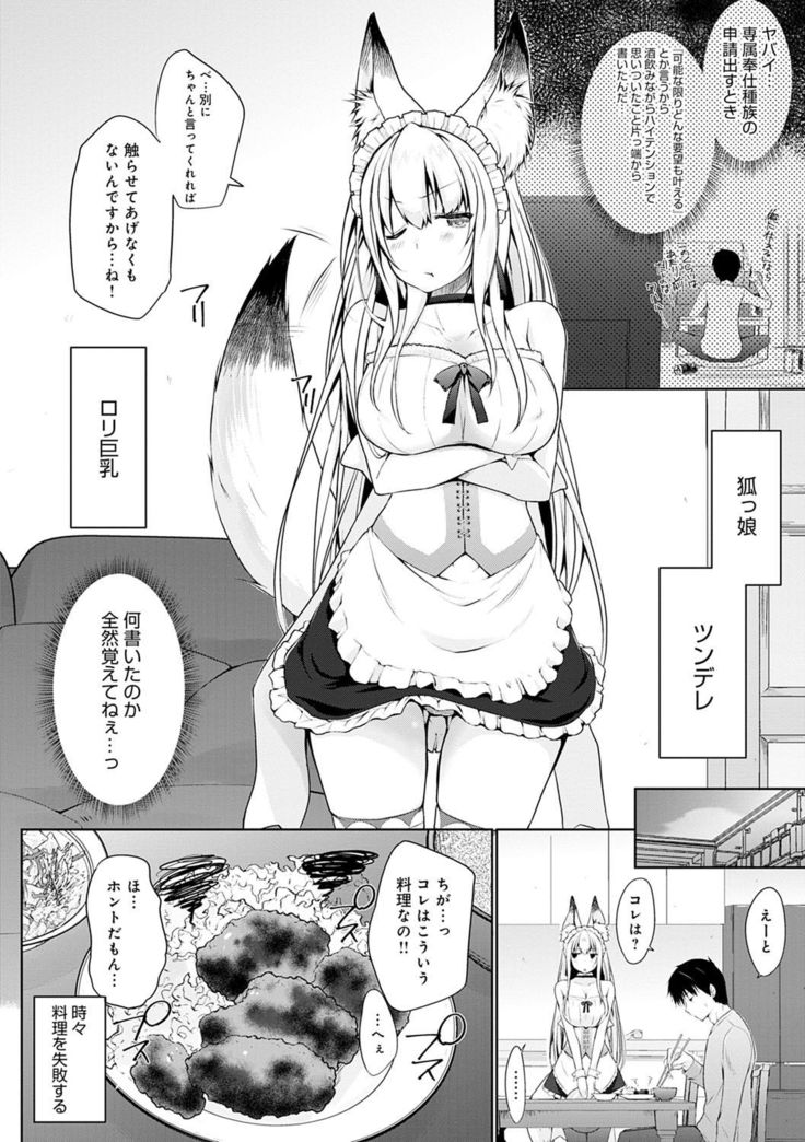 Houshi Shuzoku ga Yattekita!