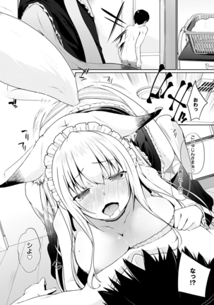 Houshi Shuzoku ga Yattekita! Page #30