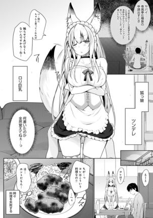 Houshi Shuzoku ga Yattekita! Page #28