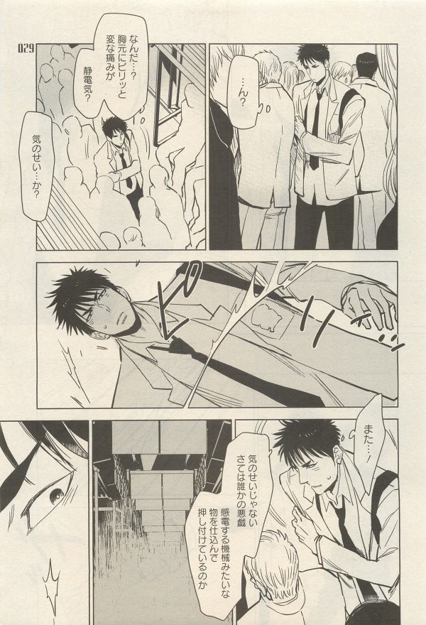 麗人 2014-11