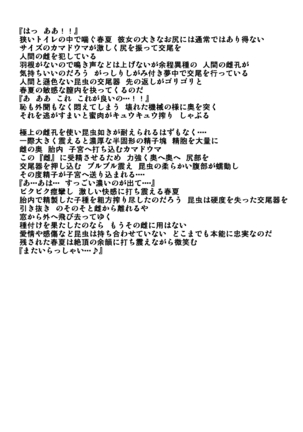 Image 9076797