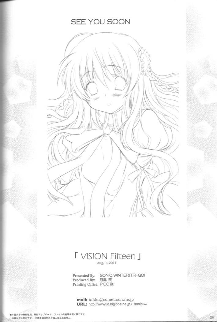 VISION Fifteen