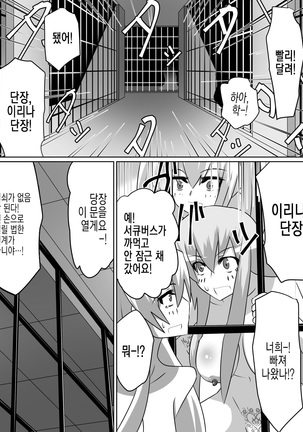 Nithualia no Kishi Irina Page #16