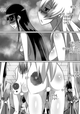 Nithualia no Kishi Irina Page #41