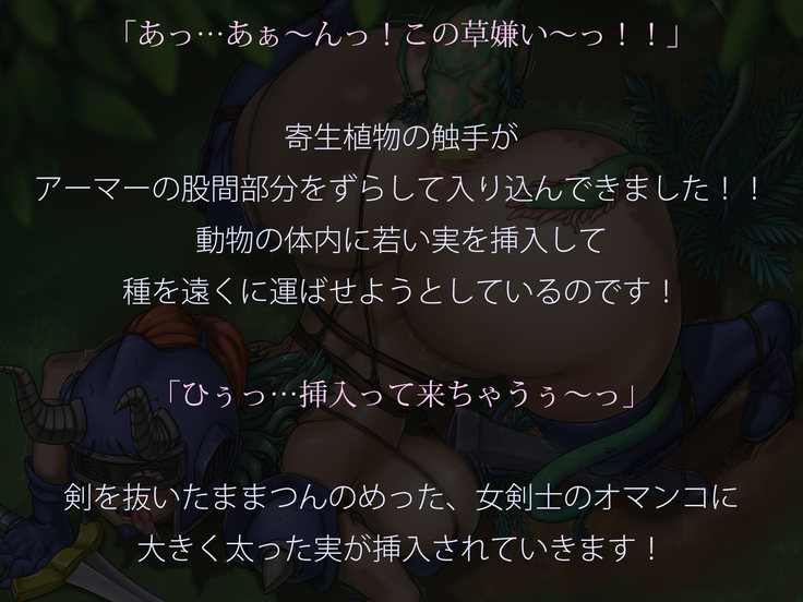 ビキニアーマーじゃ やっぱり犯されちゃう!