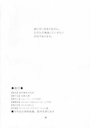 Satake Minako no Hon Page #17