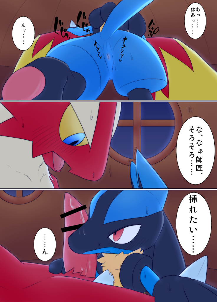 Blaziken  × Lucario  Erotic Comic