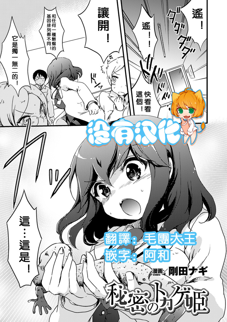 秘密のトカゲ姫