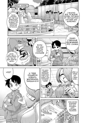 Kemokko Dobutsuen! 1-3 | Зоопарк Кемокко! 1-3 - Page 4