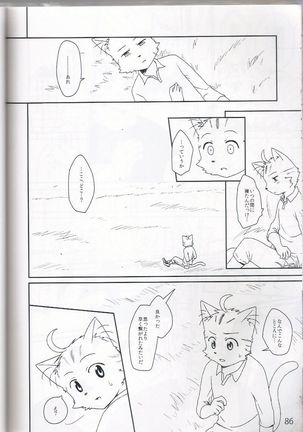PULSE!! GOLD Page #85