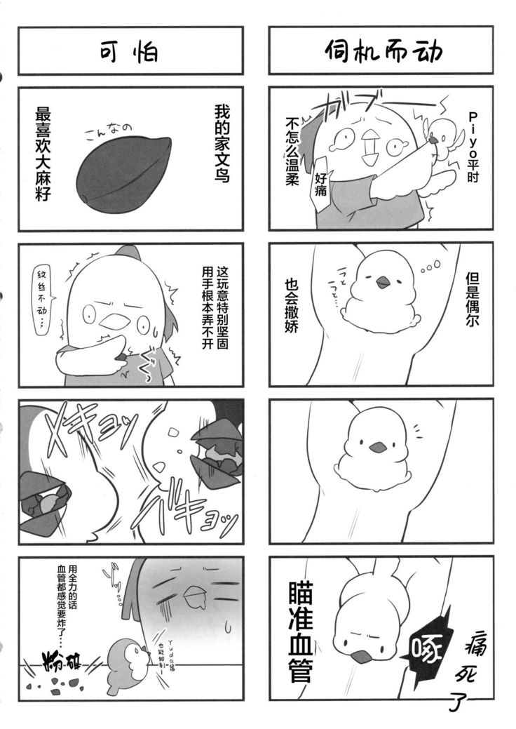 Koishiki ​