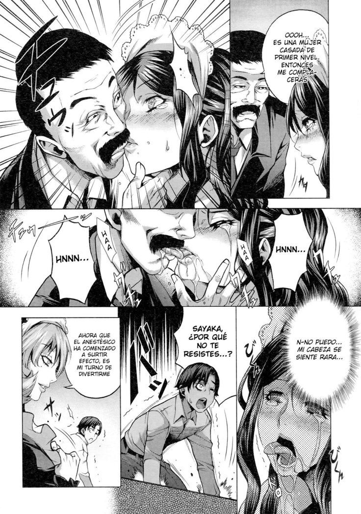 Shiawase no Daisho