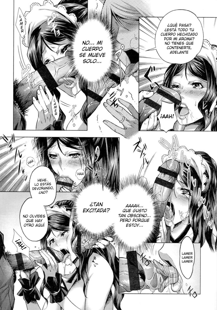 Shiawase no Daisho