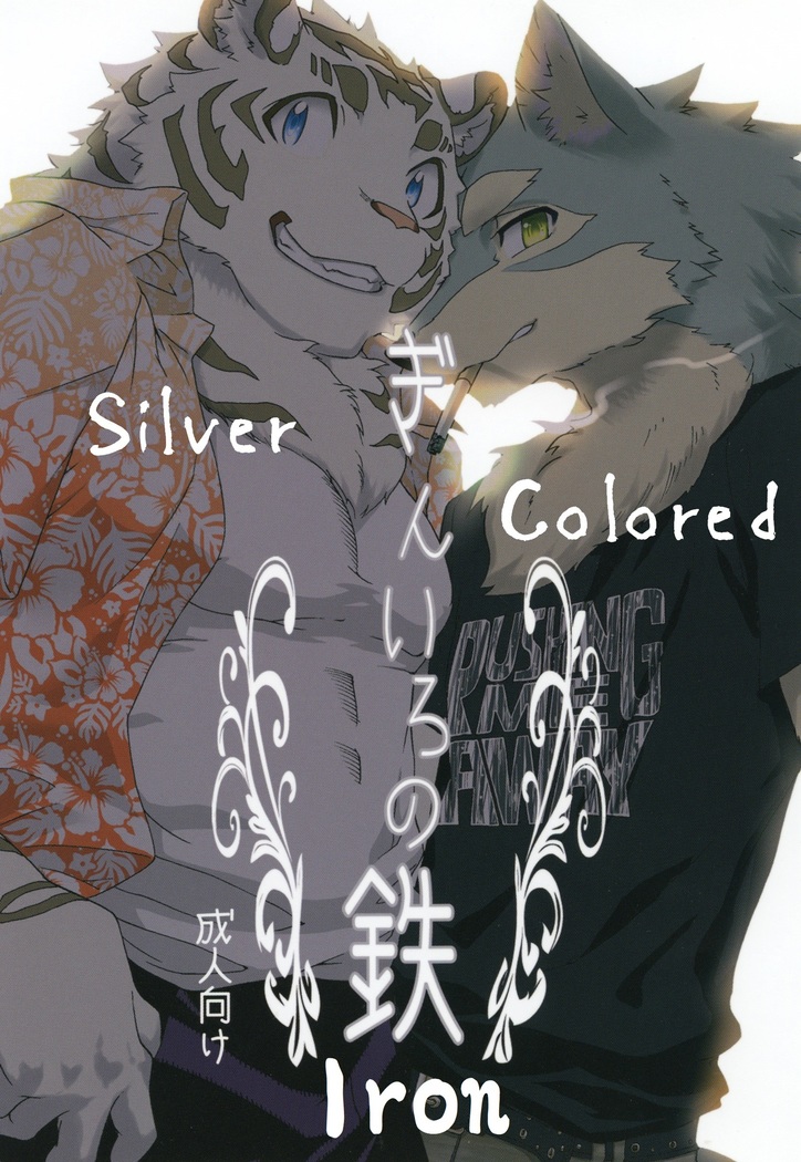 Silver Colored Iron