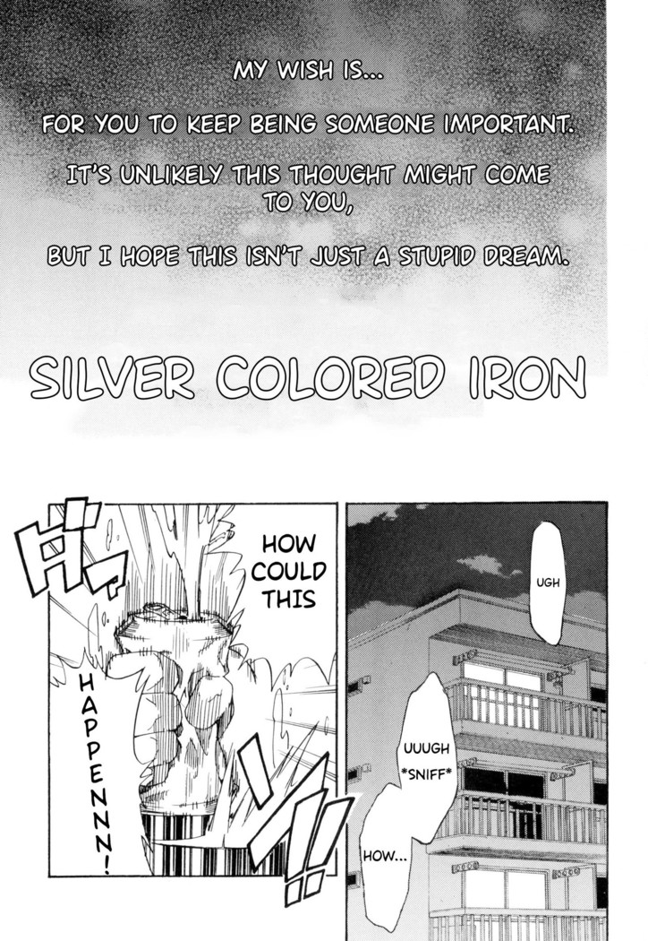 Silver Colored Iron
