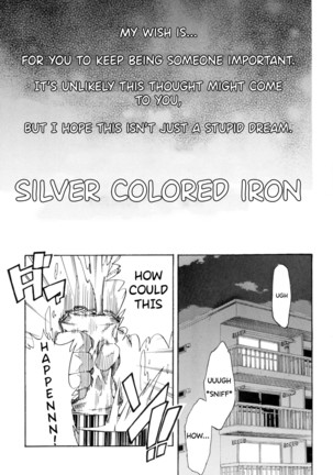 Silver Colored Iron