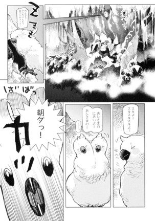 D.S.P Romeo Page #20