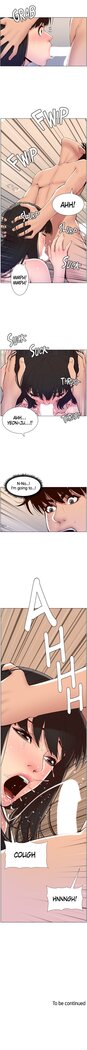 APP for the Emperor of the Night 1-30