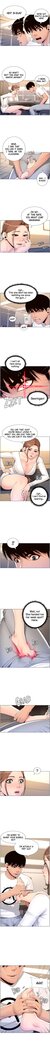 APP for the Emperor of the Night 1-30