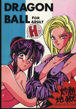 Dragonball for adult