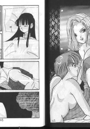 Dragonball for adult Page #13