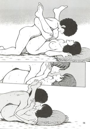 Touch vol. 3 ver. 99 Page #14