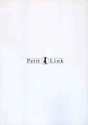 Petit Link 2 - Page 4