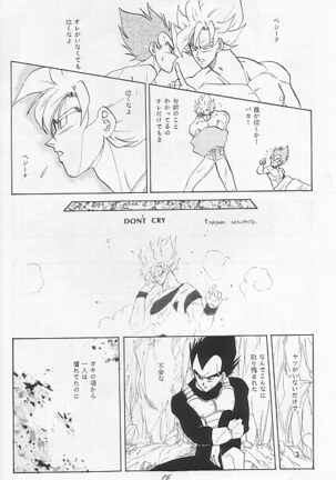 LOVE PARADE Page #14